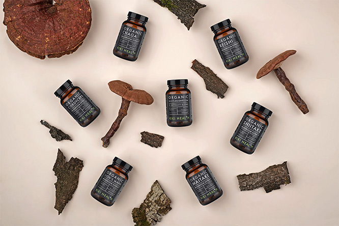 Mushrooms That Can Help Boost Immune System Naturally