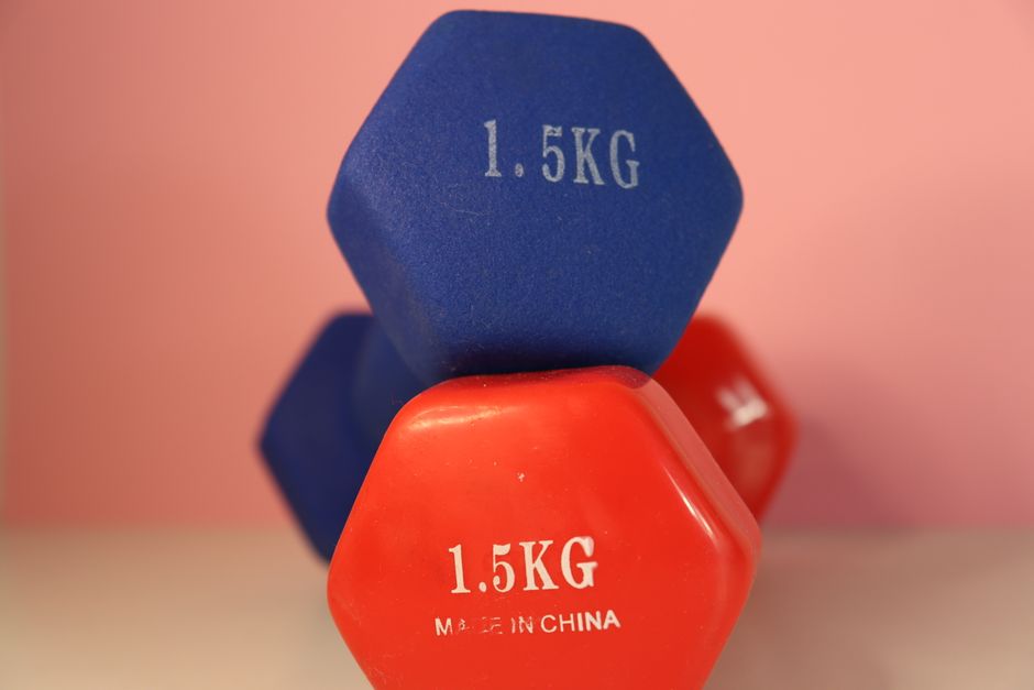 Close-up of blue and red 1.5 kg dumbbells for gym and weightlifting.
