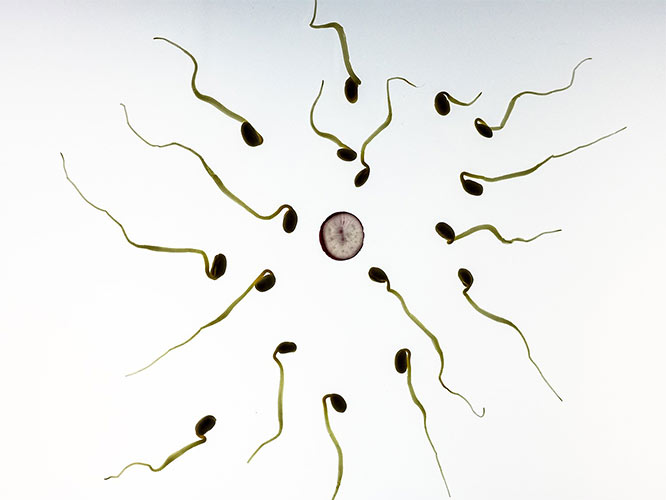 Trying to get pregnant? Follow these tips to help you increase your chances of conceiving